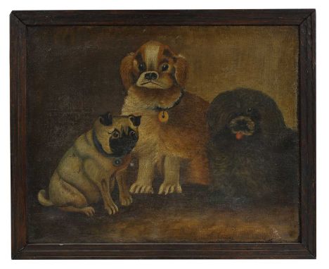 English Naive School, mid-19th century Study of three dogsoil on canvas33 x 40cmProvenance: York's Tenement, Yoxford, Suffolk