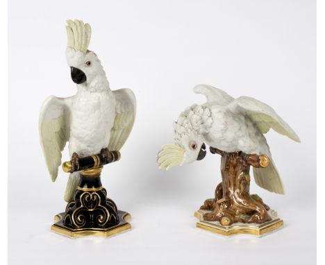 An Austrian biscuit figure of a cockatoo late 19th Century, upon a perch and stand in black and gold, 26cm high, and another 
