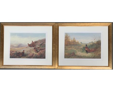 After Archibald Thorburn, a pair of colour prints depicting pheasants, each approx. 38x53cm 