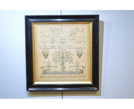 A 19th Century needlework sampler with alphabet, Garden of Eden and inscribed Elizabeth Peacock Aged 8 Years, in ebonised fra