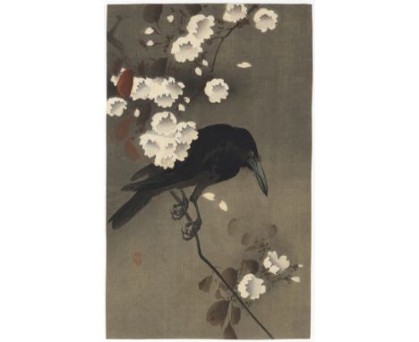 Artist: Koson Ohara (1877-1945) Title: Crow on Cherry Branch Publisher: Daikokuya Date: c.1900-1910s Size: 29.3 x 18 cm Condi