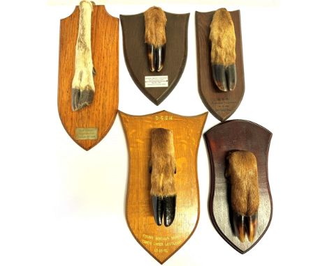 A DEER SLOT  by 'P. Spicer &amp; Sons, Leamington' on shaped shield with plaque, 'Devon &amp; Somerset Staghounds, Found Stok