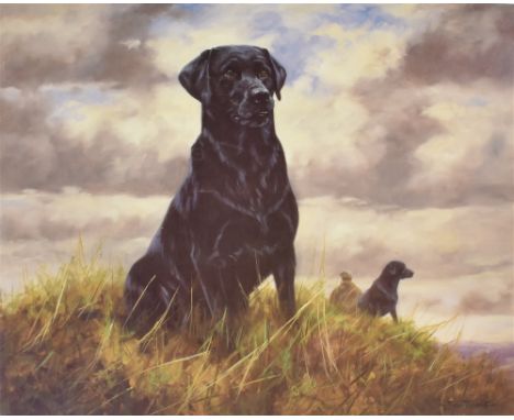 AFTER JOHN TRICKETT  Study of a black labrador, limited edition colour print, No. 78/500, numbered and signed in pencil on th