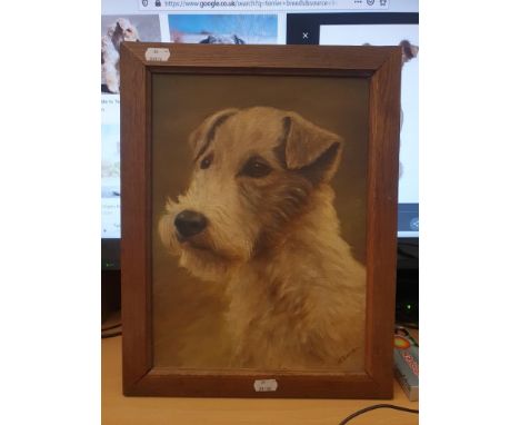 N Barker (20th century British) Portrait study of a Welsh Terrier oil on board, signed 32 x 23cm