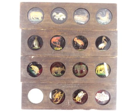 Four sets of four Victorian magic lantern slides, stamped copper plate slider mammalia no.6 etc.