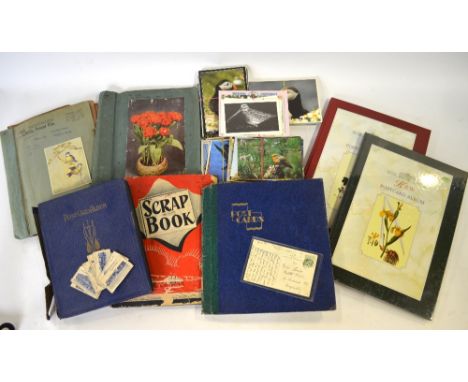 A large collection of over 600 vintage and modern postcards - ornithology - loose and in albums, to/w an album of vintage pos
