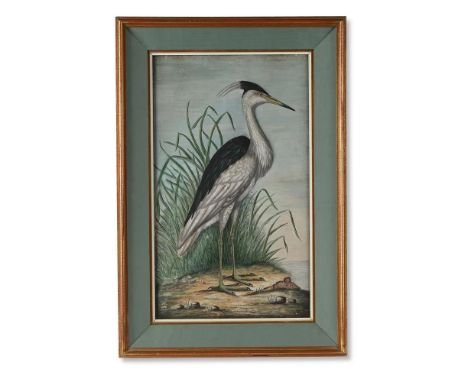 A GEORGE III EMBOSSED PAPER BIRD PICTURE ATTRIBUTED TO WILLIAM HAYES (1729-1799), LATE 18TH CENTURY  Depicting a grey heron (