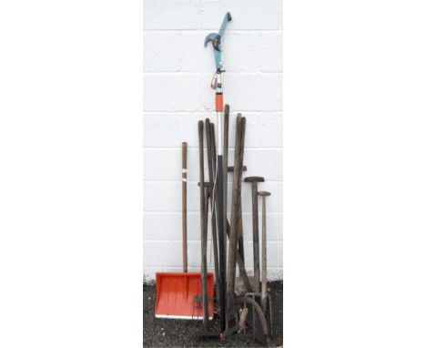 A selection of garden tools, including shovels