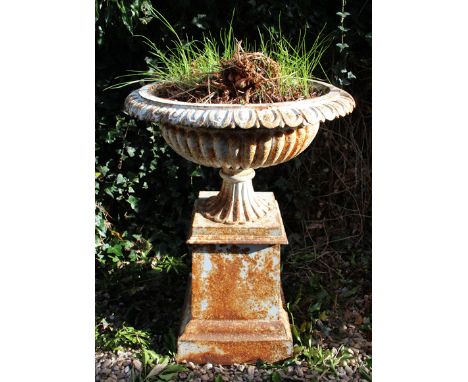 A VICTORIAN CAST IRON PLANTER of shallow campana urn form, standing on square plinth with stepped base, the urn approximately