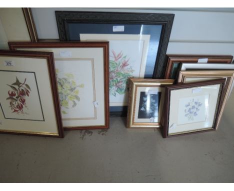 A selection of vintage prints and original art works botany and plant related