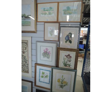 A selection of vintage prints and original art works botany and plant related