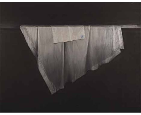 Emily Wolfe (New Zealand 1972-) TABLECLOTHS signed and dated 2000 on the reverse oil on linen 167,5 by 213cm   In her quiet a