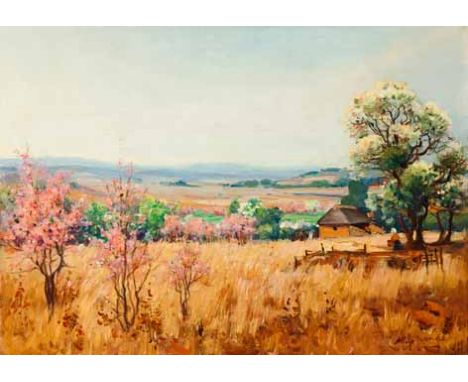 Pieter Hugo Naudé (South African 1868-1941) TRANSVAAL HIGHVELD, SPRING signed oil on canvas  PROVENANCE Donated by the artist