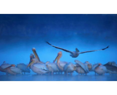 GREG DU TOIT, (SOUTH AFRICAN, 1977-): 'PELICAN MIST, 2010', GICLÉE PRINT ON CANVAS, SIGNED IN THE MARGIN, LIMITED EDITION 7 O
