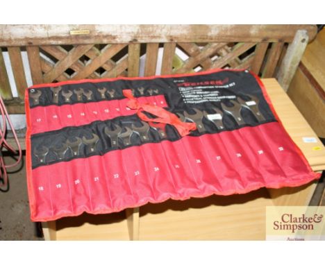 A 25 piece combination spanner set