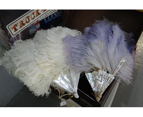Small vintage leather case containing two vintage ostrich feather fans. (B.P. 21% + VAT) purple fan 42cm long, 60cm wide appr