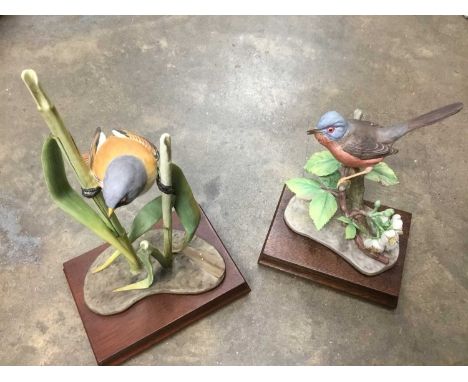Two Royal Worcester porcelain bird figures modelled by James Alder