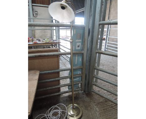 A modern brushed metal standard lamp