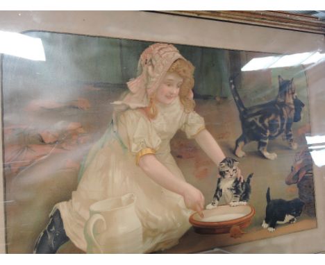 A vintage period 'Assisted Education' - cat interest