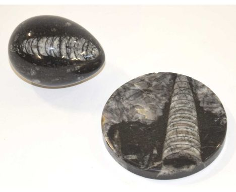 Fossil interest: two Orthocera fossils, one fashioned into drinks coaster and other into round egg