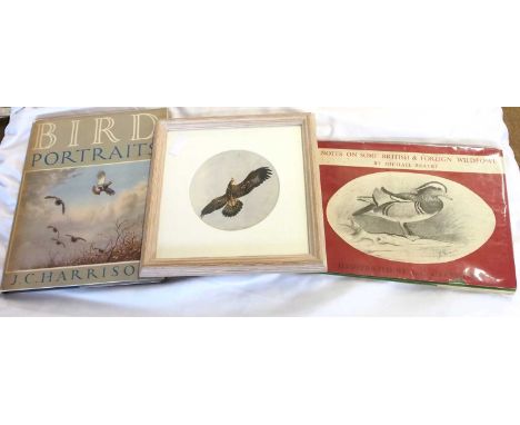 John Cyril Harrison (1898-1985), study of a Golden Eagle, watercolour, 13.5x13.5cm (round), with a letter of provenance verso