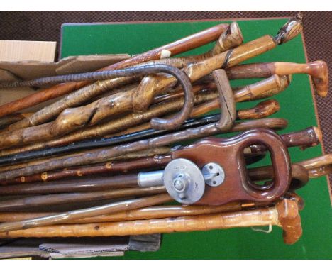 Eighteen various walking sticks plus a shooting stick