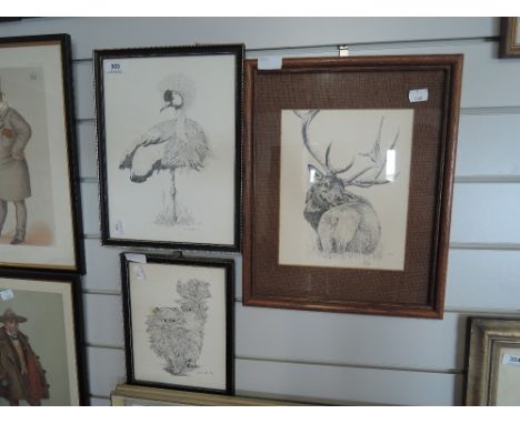 A selection of vintage prints after Lynn Tims animal studies including stag and cat