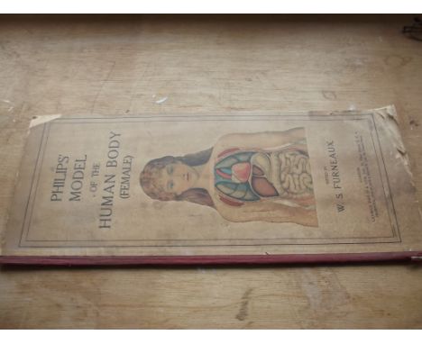 "PHILIPS" Anatomical Model of the Female Human Body." ed W.S. Furneaux, col plts comp, orig cl-backed col bds, tall thin foli
