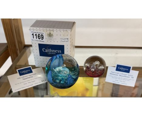 A boxed caithness aqamarina paperweight and an unboxed 1998 miniature moonflower paperweight.