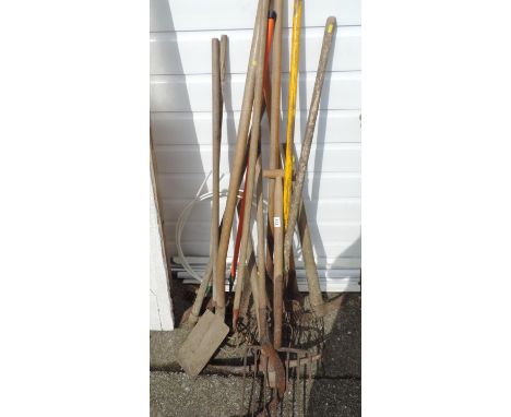 Quantity of Garden Tools 