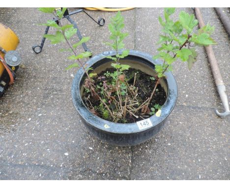 Glazed Garden Planter 