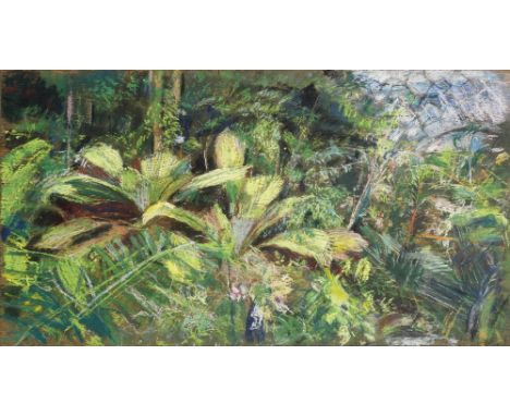 Anthony Eyton R.A., R.W.A., R.W.S. (British, born 1923)Malaysian Plants, Eden Project signed and dated 'A. Eyton/2001' (lower