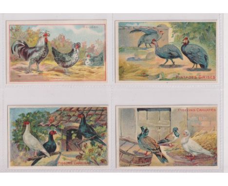 Trade cards, France, Cerebos Salt, Poultry &amp; Other Birds, 'X' size, 17 different cards, various back printings (some slig