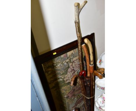 THIRTEEN ASSORTED WALKING STICKS, to include horn handled examples, carved wooden examples and rootstock examples together wi