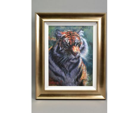 ROLF HARRIS (AUSTRALIAN 1930) 'TIGER IN THE SUN',  a limited edition print on deluxe canvas 60/75 signed bottom right with ce