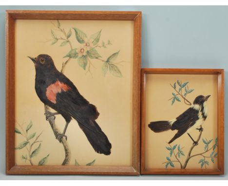 A pair of early 20th Century 1930's collages each depicting a different species of bird perched on branches, depicted using r