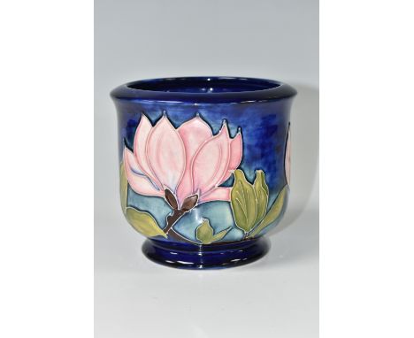 A MOORCROFT POTTERY MAGNOLIA PLANTER, tube-lined with pink Magnolia blooms on a blue ground, impressed and painted marks to b