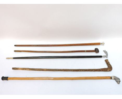 A silver topped walking cane, three other walking sticks, and a sword stick