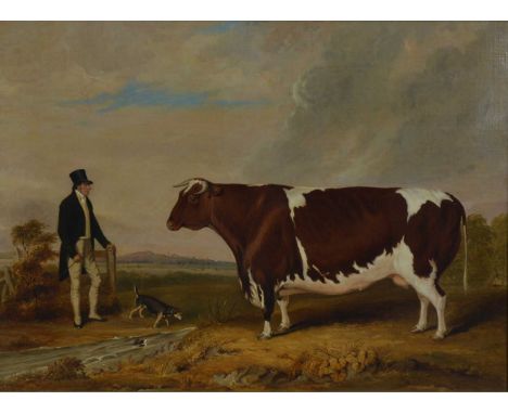 William Smith (British 19th century), Portrait of Mr Strutt with his prized Hereford Bull in a lane with his terrier, oil on 