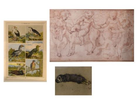 Quantity of framed and glazed furnishing prints, including architectural studies, old master sketches, ornithology etc  