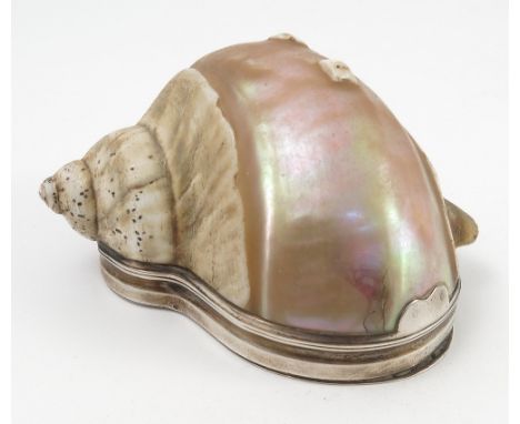 An Antique silver mounted shell snuff box, the spiral sea shell with un-marked silver hinged mount with double opening, width