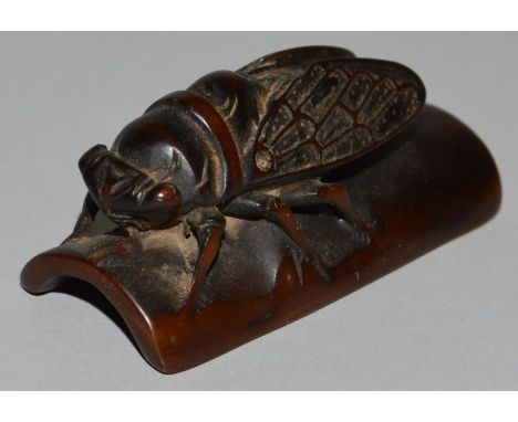 A CARVED WOOD NETSUKE, a grasshopper. 