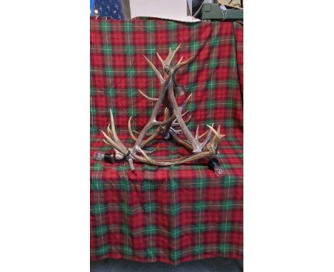  Sale Item:    ANTLER LIGHT - (AF)   Vat Status:   No Vat   Buyers Premium:  This lot is subject to a Buyers Premium of 17.5%