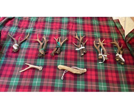  Sale Item:    BASKET SMALL ANTLER HORNS   Vat Status:   No Vat   Buyers Premium:  This lot is subject to a Buyers Premium of