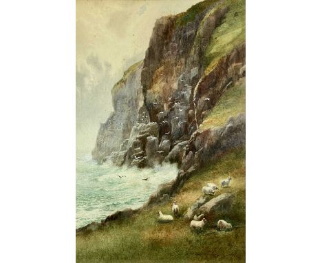 ARTHUR STANLEY WILKINSON (British c.1860-1930) watercolour - coastal cliffs with sheep grazing in foreground, signed lower ri