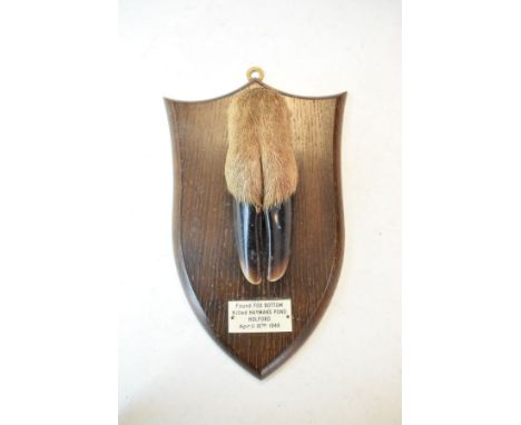 Taxidermy - Vintage stuffed and mounted deer hoof by P.Spicer & Sons of Leamington, mounted on an oak shield with plaque 'Fou