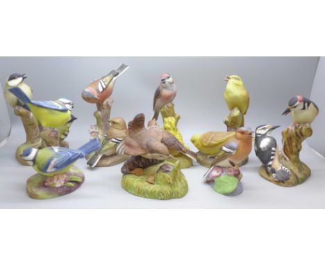 Seven Royal Worcester models of birds; pied woodpeckers, yellow hammers, blue tits, chaffinches, coal tits, chaffinch and lin