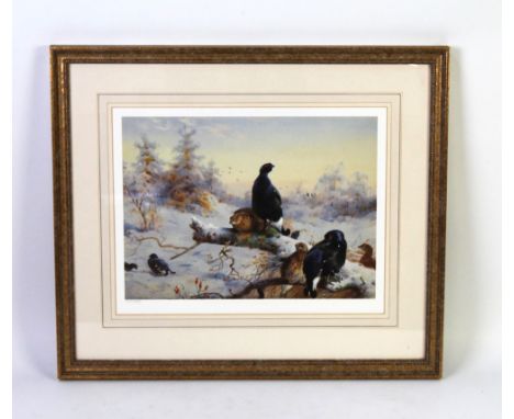 Archibald Thornburn, a limited edition print depicting Black Grouse 707/850.  27 x 36 cm, framed and mounted.