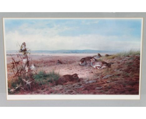 Archibald Thorburn a limited edition print of Grey Partridge and Goldfinch, from a single edition 412/500 copies.  33 x 56 cm