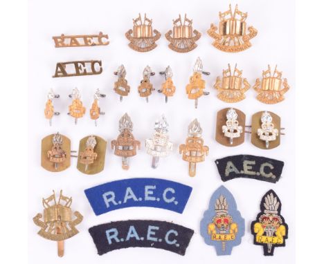 Grouping of Badges and Insignia of the Army Educational Corps and Royal Army Education Corps, including fine gilt metal offic